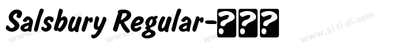 Salsbury Regular字体转换 Salsbury Regular字体转换